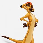 Illustration du profil de Timon