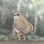 Illustration du profil de Cookie