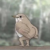 Illustration du profil de Cookie