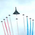 Illustration du profil de Megabel