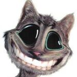 Illustration du profil de joss113